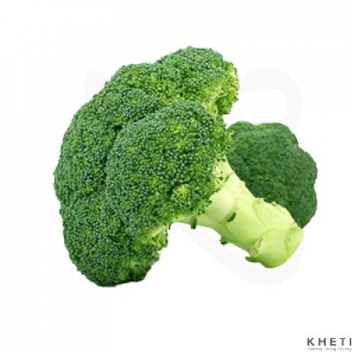Broccoli
