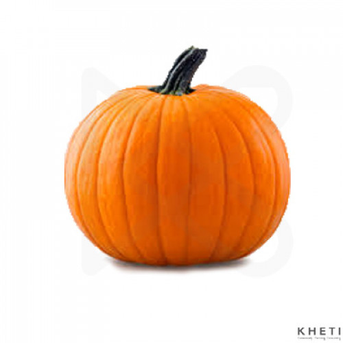 Pumpkin/ Pakeko farsi